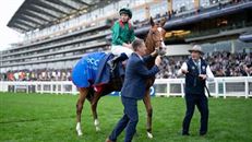 “格伦岛” 跃居榜首，浪琴表世界马匹最新排名出炉！